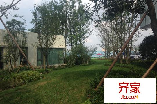 麓嶺匯綠化 2015-10-13