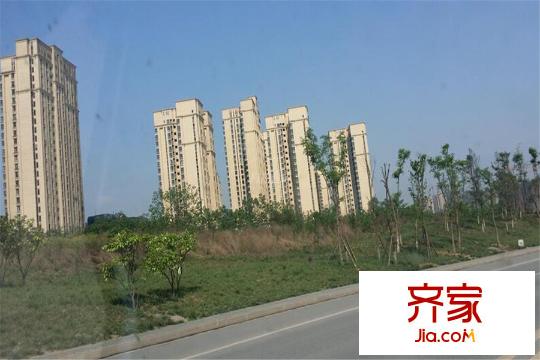 萬科五龍山翡翠洋房項目實景（2015-3）