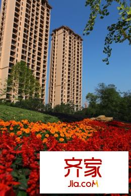雅居樂十里花巷住宅實(shí)景綠化（2014.11）