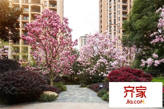 雅居樂十里花巷項(xiàng)目園林（2015.6.1）