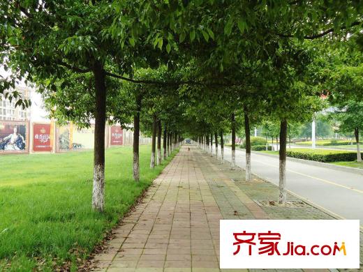 港基疊香莊園配套圖