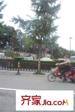 傳化國際新城項(xiàng)目周邊桂湖