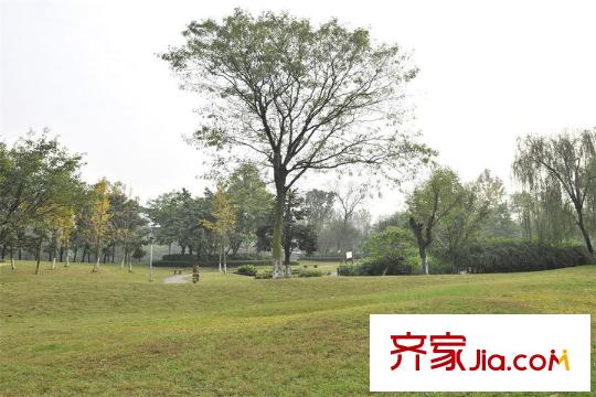 萬科金域緹香周邊公園