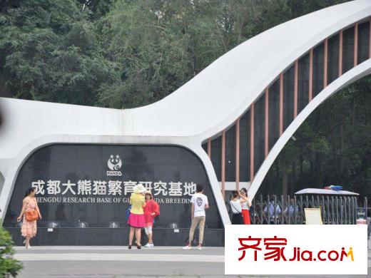 潤揚觀瀾鷺島大熊貓基地