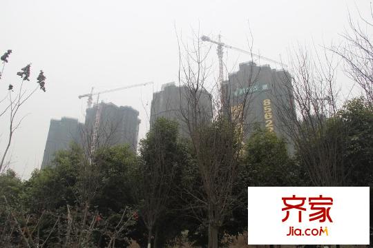 德商華府天驕項目（2015.3）