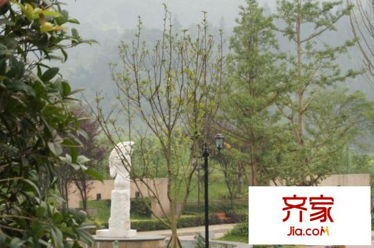 花水灣國際度假區(qū)小區(qū)內(nèi)部（2013-08）