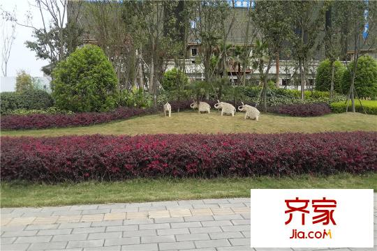 中鐵城錦南匯綠化（2015.3）