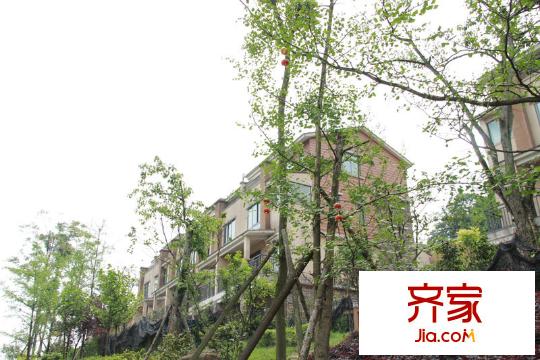 青城頂尚小區(qū)內(nèi)建筑實(shí)景(2012-05)