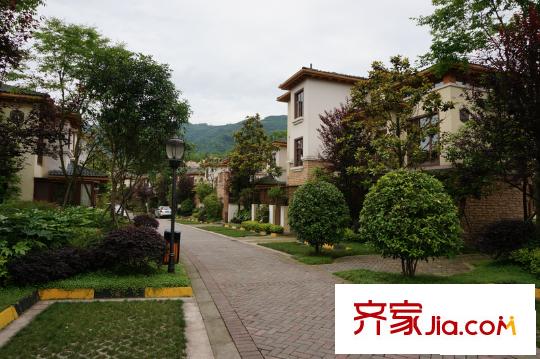 花水灣國際度假區(qū)王山別墅:周邊