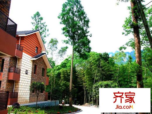 青城莊園小區(qū)實景（2013-7）