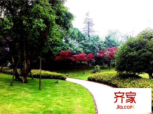 青城莊園小區(qū)綠化實景（2013-7）