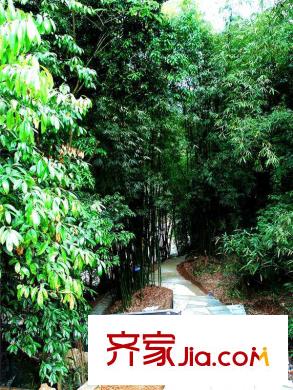 青城莊園項目附近景觀