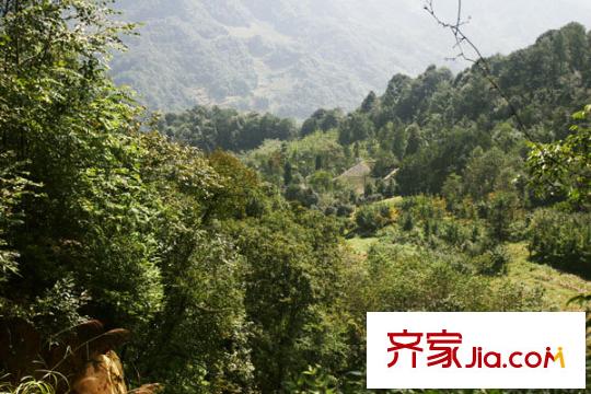 青城頂尚項(xiàng)目?jī)?nèi)遠(yuǎn)眺風(fēng)景(2011.04)