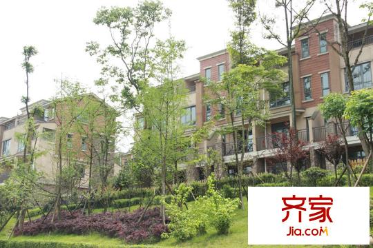 青城頂尚小區(qū)內(nèi)建筑實(shí)景(2012-05)