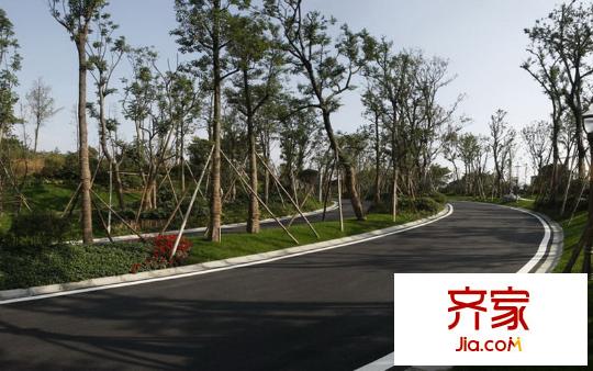 藍(lán)光觀嶺2期花湖實(shí)景(2011.01)