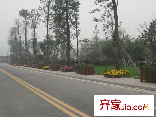 三盛翡儷山項目旁道路實景(2011.02)