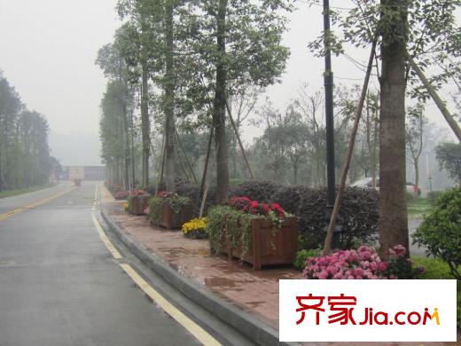 三盛翡儷山項目旁道路實景(2011.02)