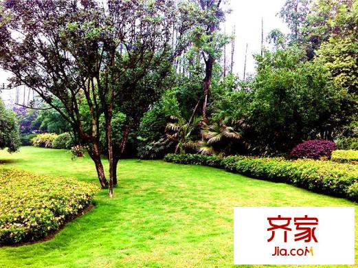青城莊園小區(qū)綠化實景（2013-7）