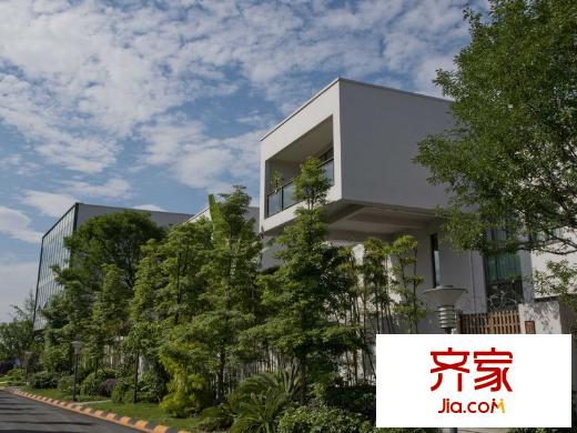 達(dá)觀山小區(qū)綠化（2013.07.22）