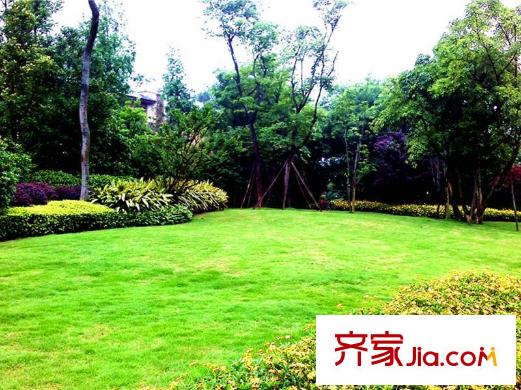青城莊園項(xiàng)目附近景觀