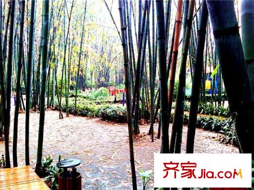 青城莊園項(xiàng)目附近景觀