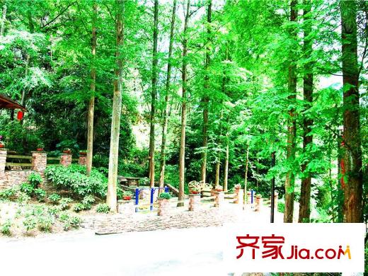 青城莊園項(xiàng)目附近濕地公園