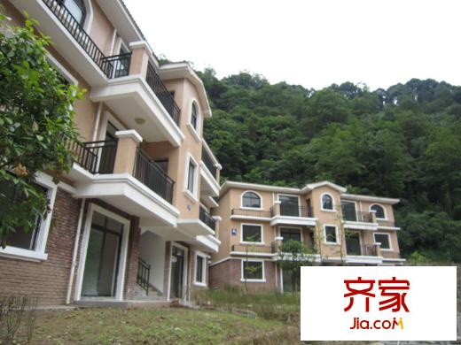 青城御龍灣項目綠化實景（2014-8）