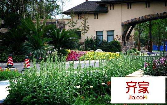 藍(lán)光觀嶺4期實(shí)景(2011.01)