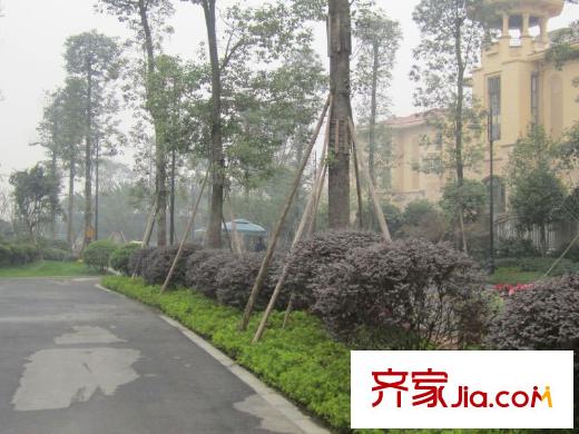 三盛翡儷山項目旁道路實景(2011.02)