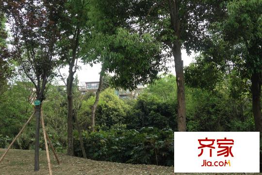 半山艾馬仕小區(qū)綠化圖（2015-3-29）