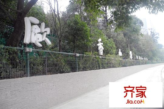 歐香小鎮(zhèn)臨街綠化（2015.3.10）