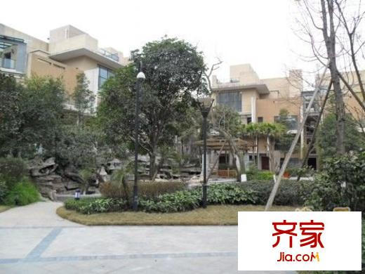 保利郁金香谷外景圖