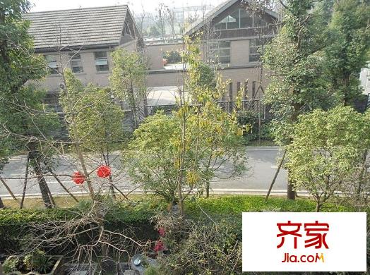 假日青城365宅院外景圖 