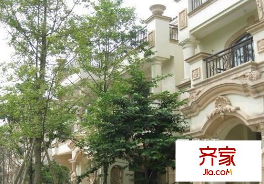 國色天鄉(xiāng)外景圖