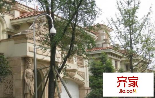 國色天鄉(xiāng)外景圖