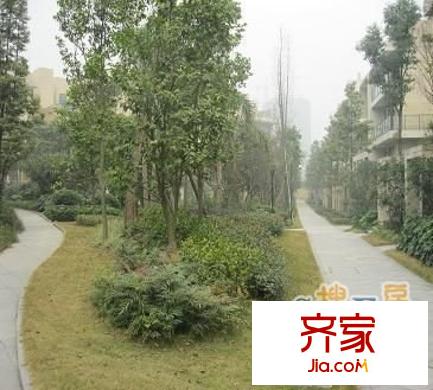 保利郁金香谷