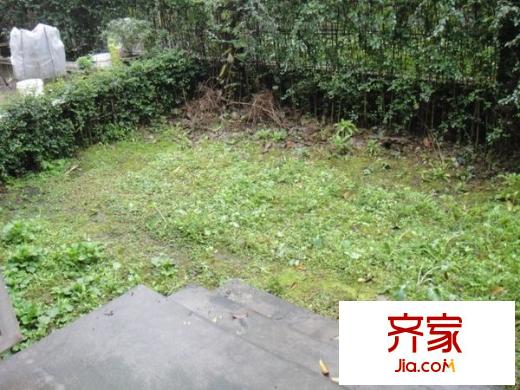 假日青城365宅院外景圖 