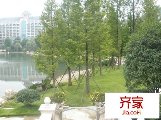 恒大金碧天下別墅外景圖