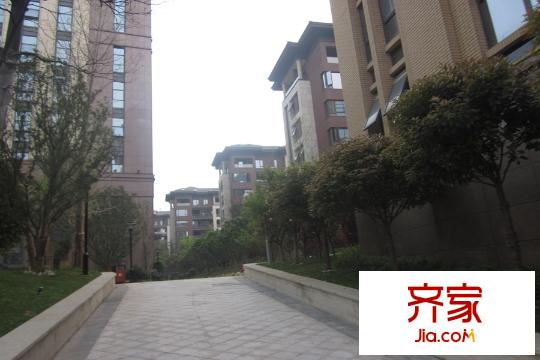 地泰御和苑小路（2015.4.3）