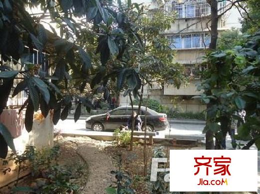 楊家山武警宿舍外景圖