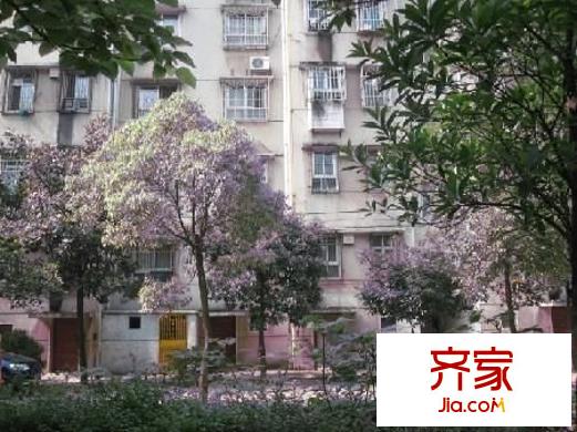 東塘金科園外景圖