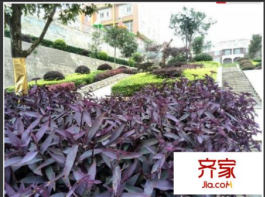 氣象嘉園外景圖