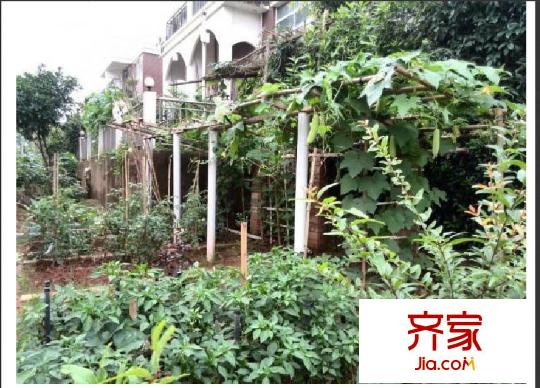 氣象嘉園外景圖