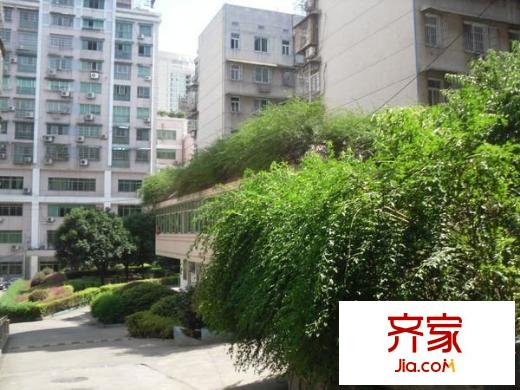 桔園小區(qū)外景圖