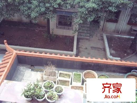 桔園小區(qū)外景圖