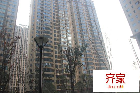 東城港3號(hào)棟實(shí)景（2014.12.24）