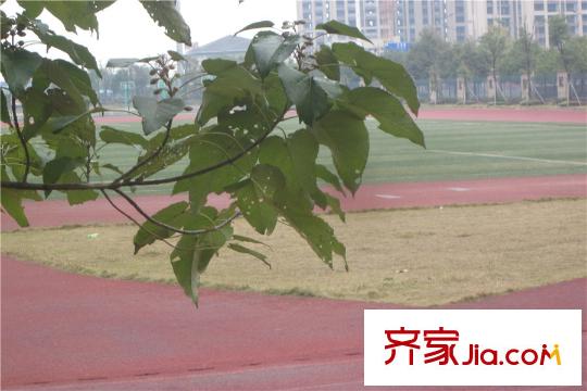 泊林晶城周邊學(xué)校操場