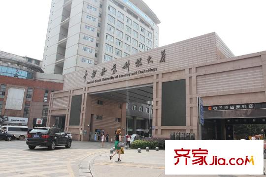 德茂公寓周邊高校