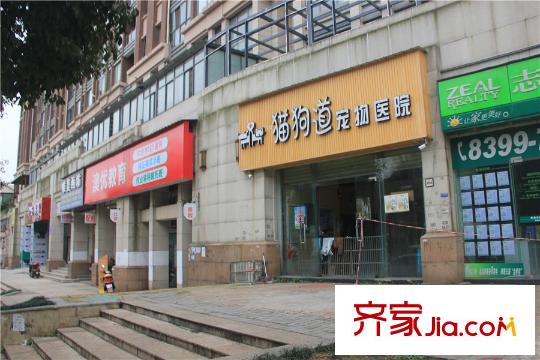 長沙奧林匹克花園周邊寵物醫(yī)院