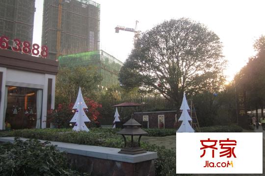 廣電疊彩蘭亭售樓部綠化（2015.12.17）